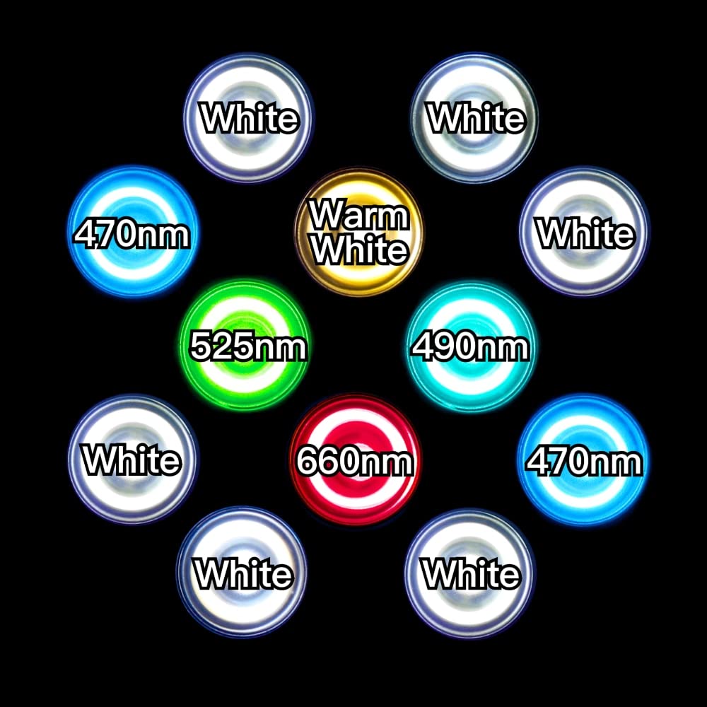 Amazon.co.jp: B.R.S Lighting Master 24DCⅡ【RGBホワイト