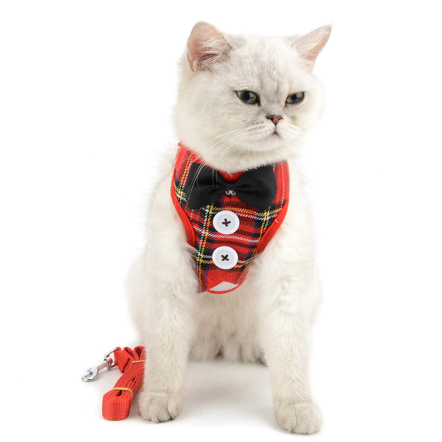 Amazon | ペット夏服 猫用 ハーネス リード 猫はーねす胴輪 おしゃれ