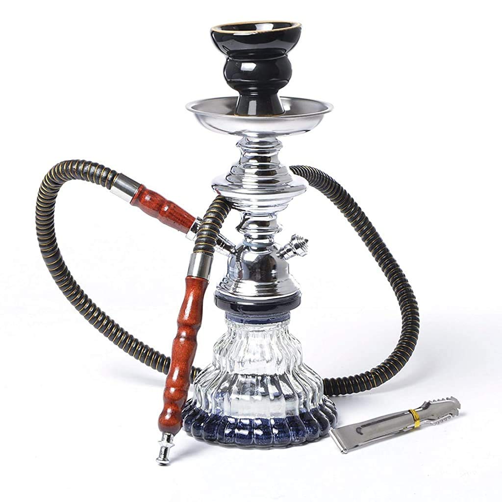 LJJ Cachimba Moderno Accesorios Completos para Shisha 1 Mangueras Diseño Vástago Carbón Pinzas para Carbón para Fiestas Casa