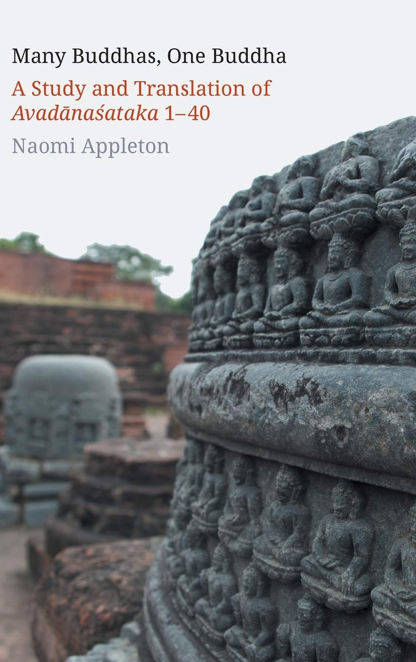 Many Buddhas, One Buddha: A Study and Translation of Avadanasataka 1-40