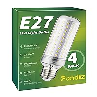 Fondiiz Lampadine LED E27 Luce Fredda 6000K, 16W 2200LM Lampadina LED E27 Equivalenti