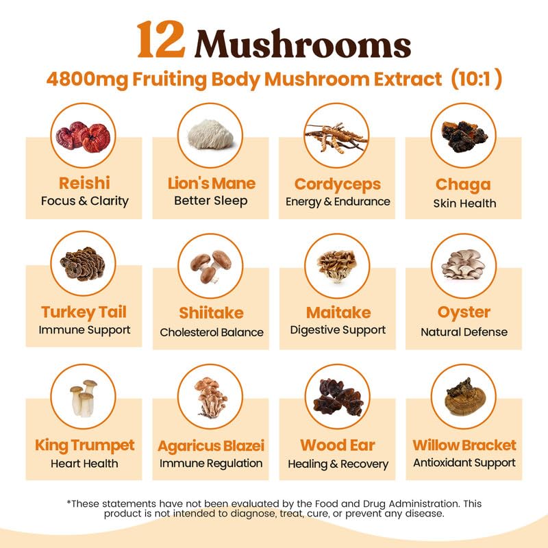 Venture Pal Mushroom Coffee