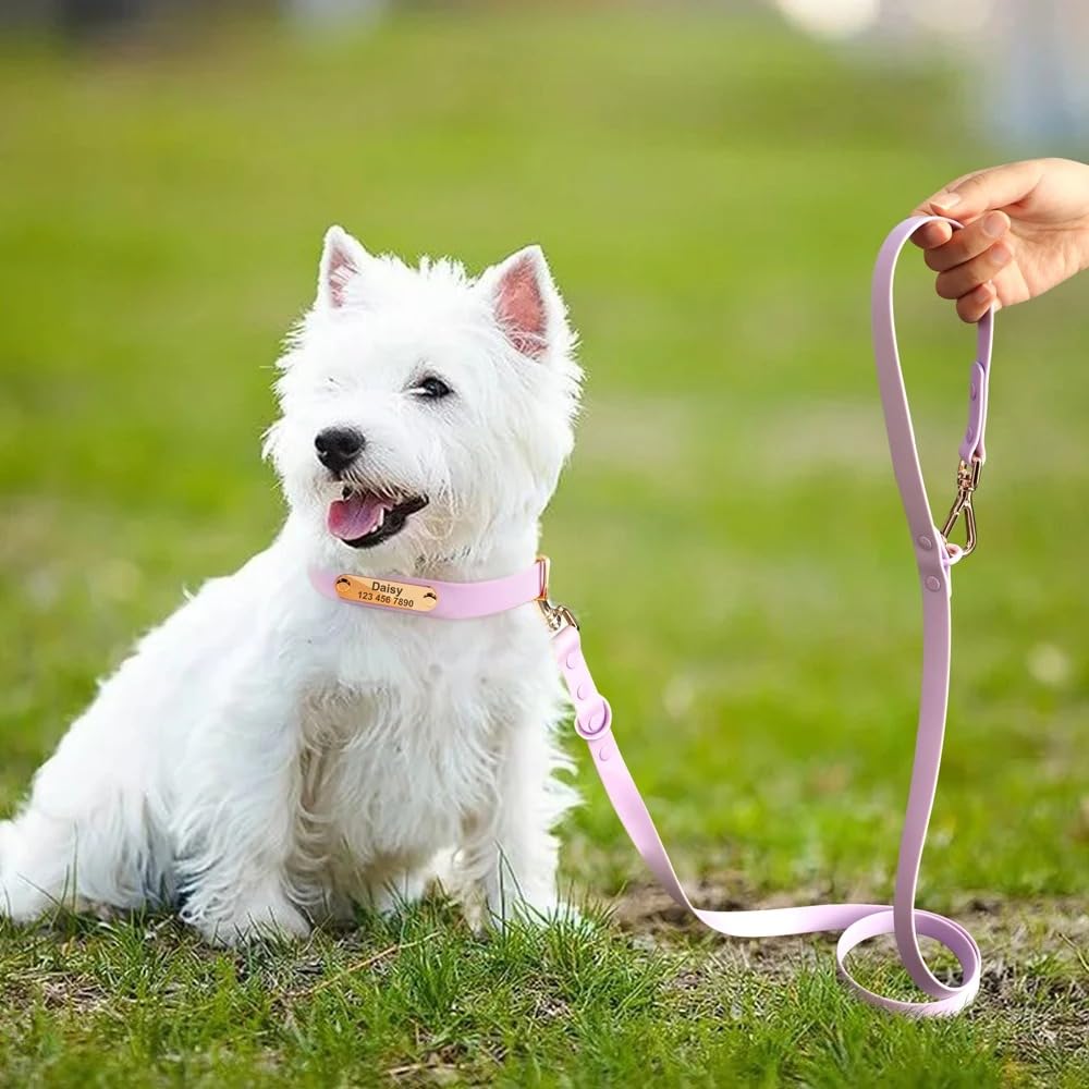 Collar De Perro Personalizado,Conjunto De Correa,Collar Impermeable para Perros Y Gatos,Collares De Identificación Personalizados para Mascotas con Cuerda De Plomo para Perros Pequeños Y Grande