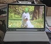 Review Image by Lori Lori