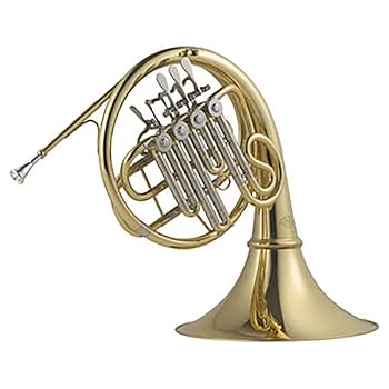 Amazon.co.jp: ゼンオン フレンチホルン ZFH700 : 楽器・音響機器