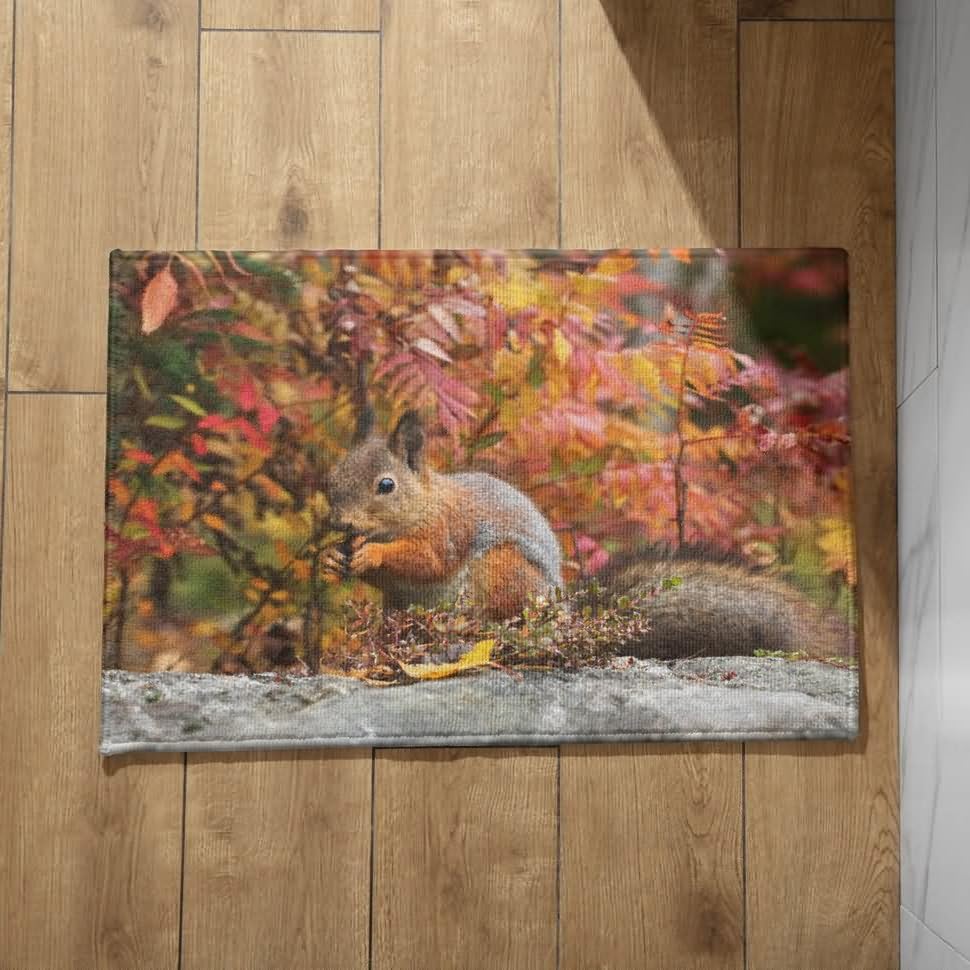 Tapis entrée extérieur écureuil CEVAN 50x80cm paillasson isolant original