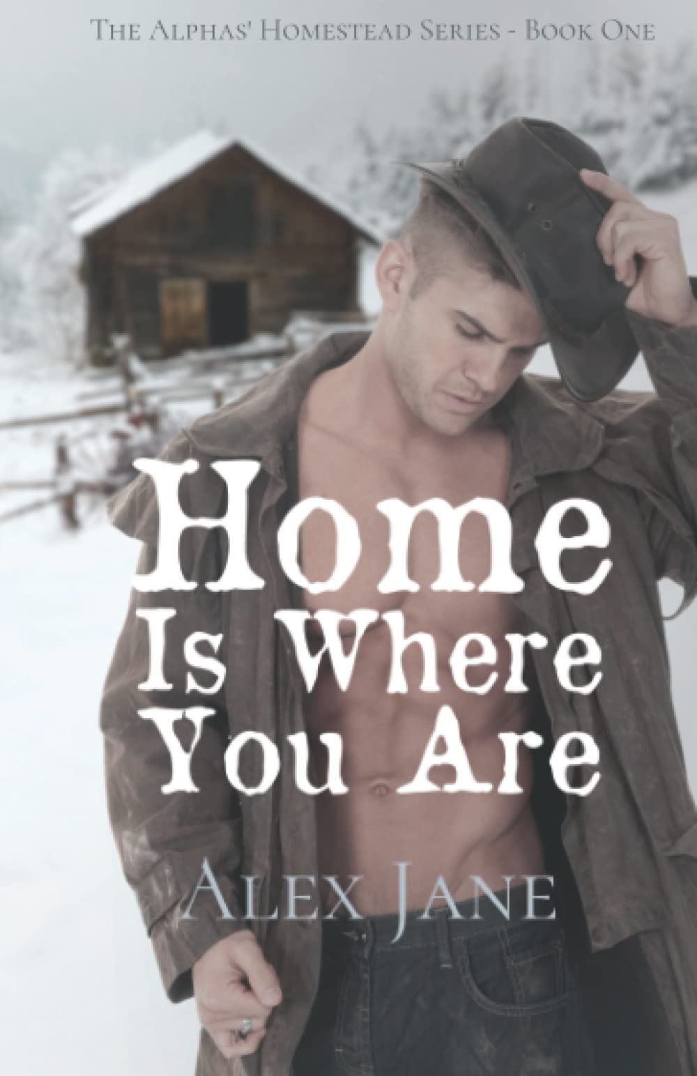 Home Is Where You Are: Volume 1 (The Alphas' Homestead Series)