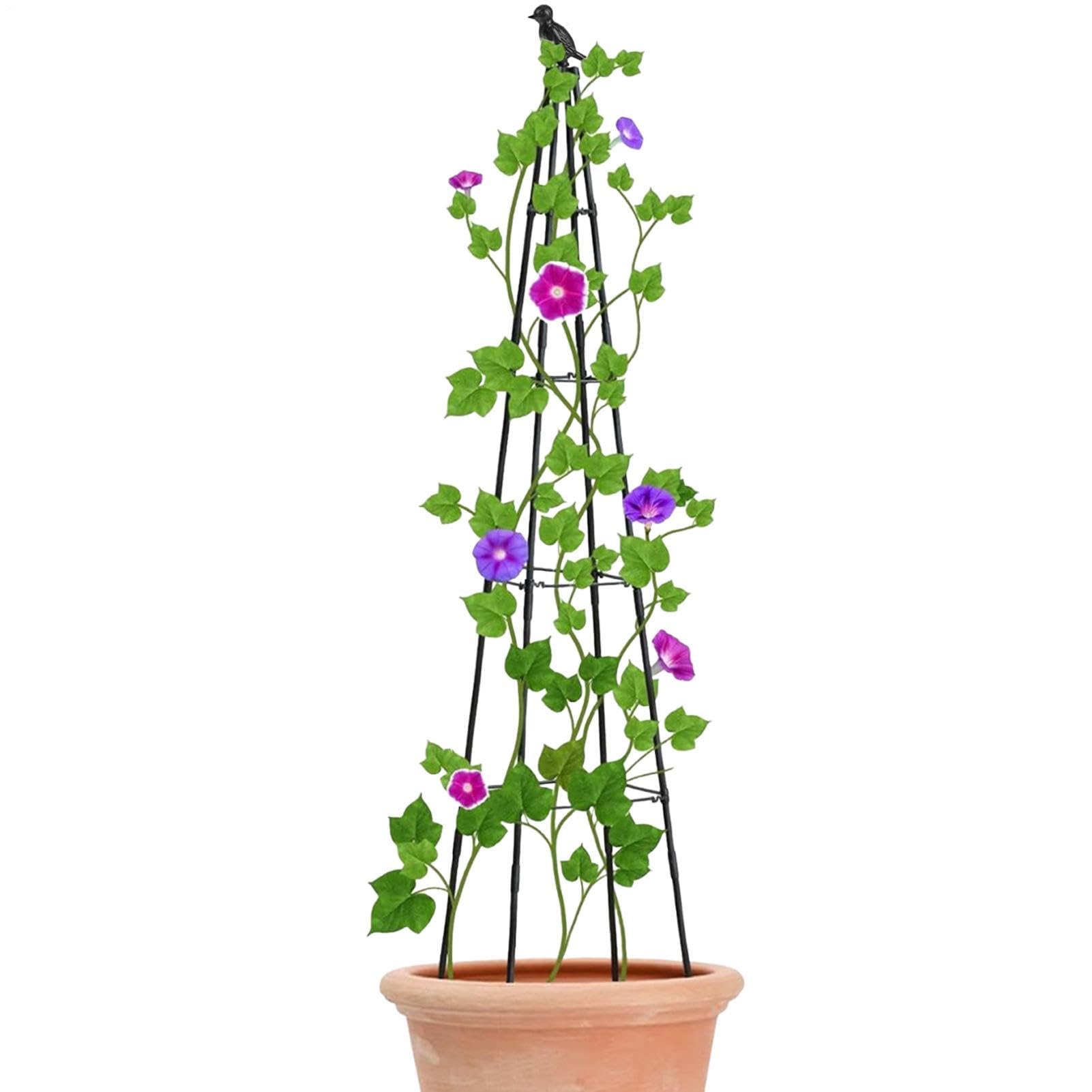 Tuteur Obélisque de Jardin Cage de Support Vertical en Métal