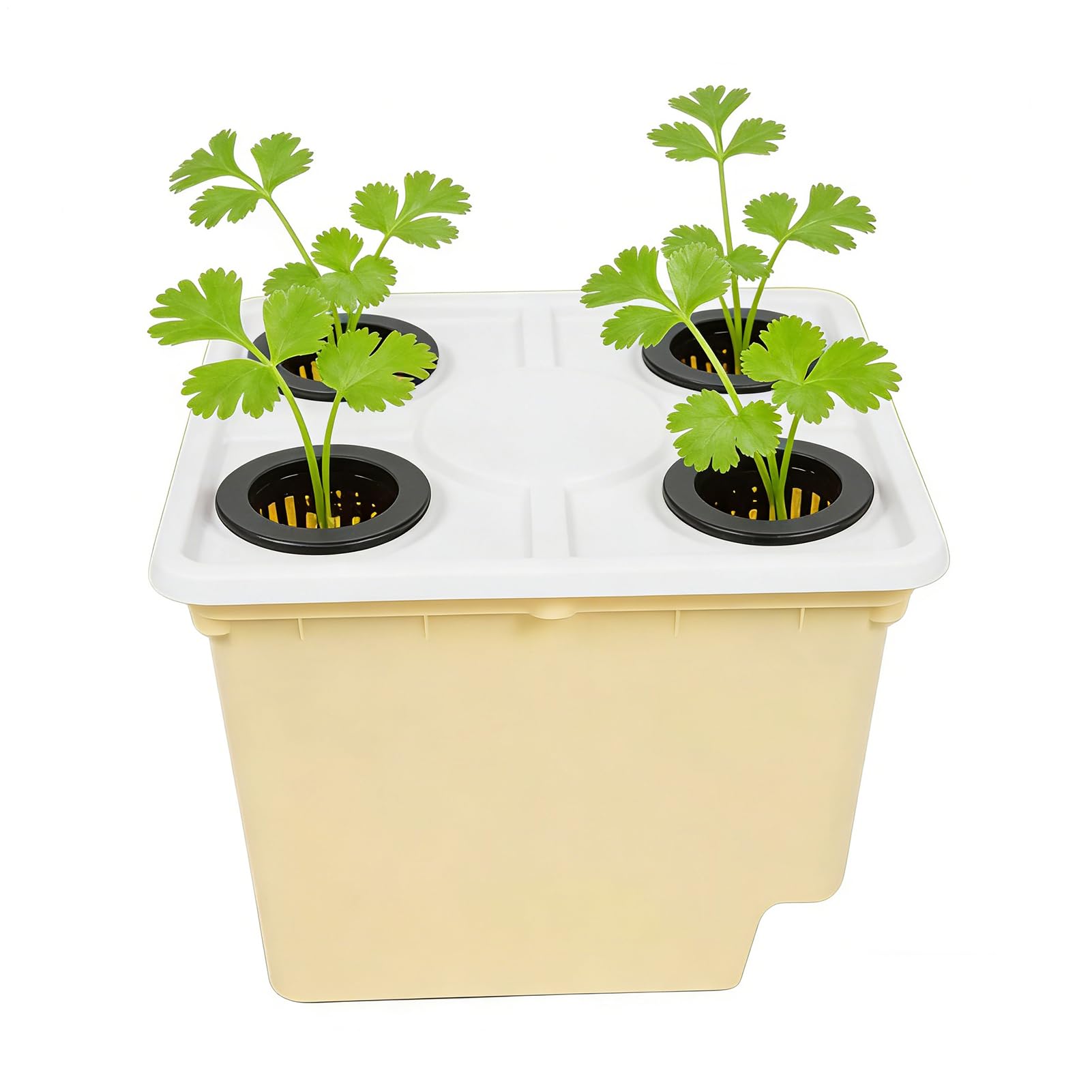 Système pour la culture de légumes sur le rebord de la fenêtre de votre cuisine