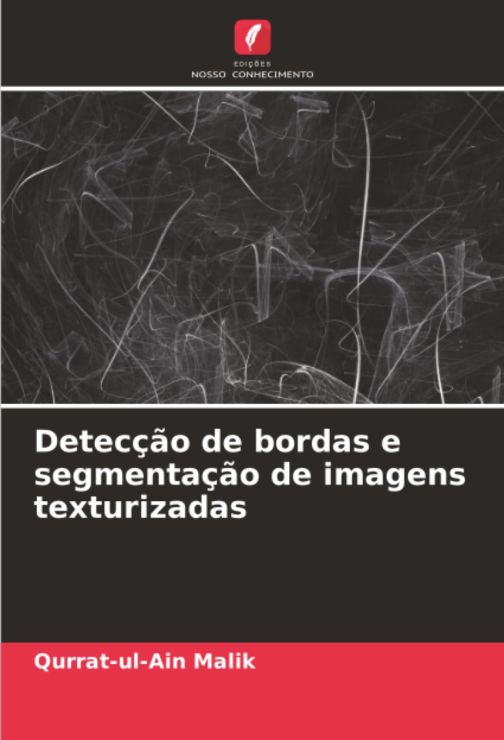 Detecção de bordas e segmentação de imagens texturizadas