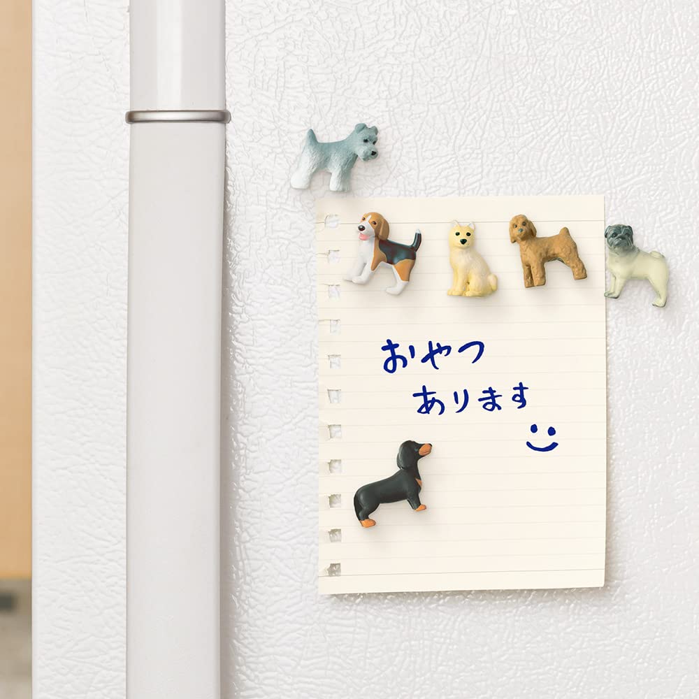 Amazon | DESIGNPHIL ミドリ(MIDORI） マグネット ミニマグネット 6個 