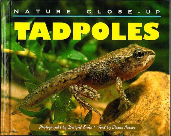 Nature Close-Up - Tadpoles