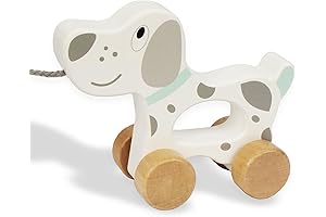 Baby Car Pull Along Dog Toy for 1 Year Old Boy and Girl