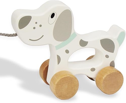Coche de juguetes para bebés, juguete de madera para niños pequeños, juguete de desarrollo para niñas de 1 año, regalo de cumpleaños (perro)