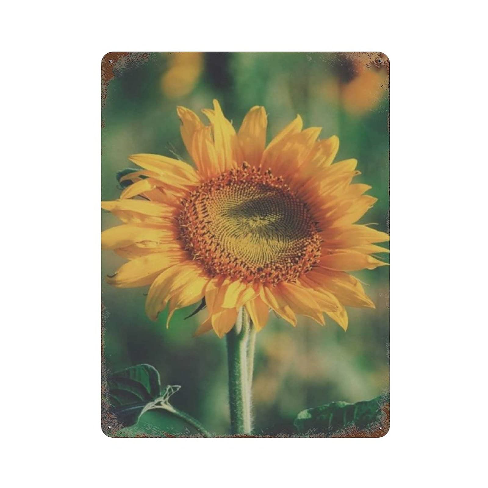 Sunny Sunflower Tin Sign Metal Plaque Art Hanging Iron Painting Retro Home Kitchen Garden Garage Wall Decor 16"x12"