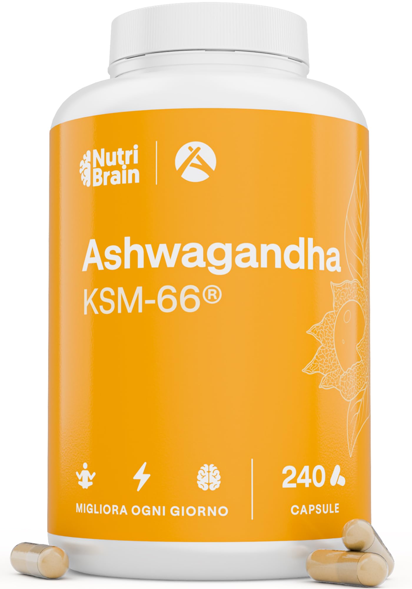 Ashwagandha KMS-66® 9000mg – 240 Caps Dosaggio Elevato | Abbassare Cortisolo, En
