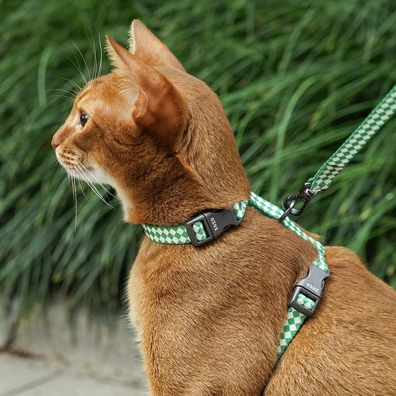 ZEZE Plaid Pet Leash, 51 Inches, 5W x 51L Inches, Plaid, Clip-in Clasp