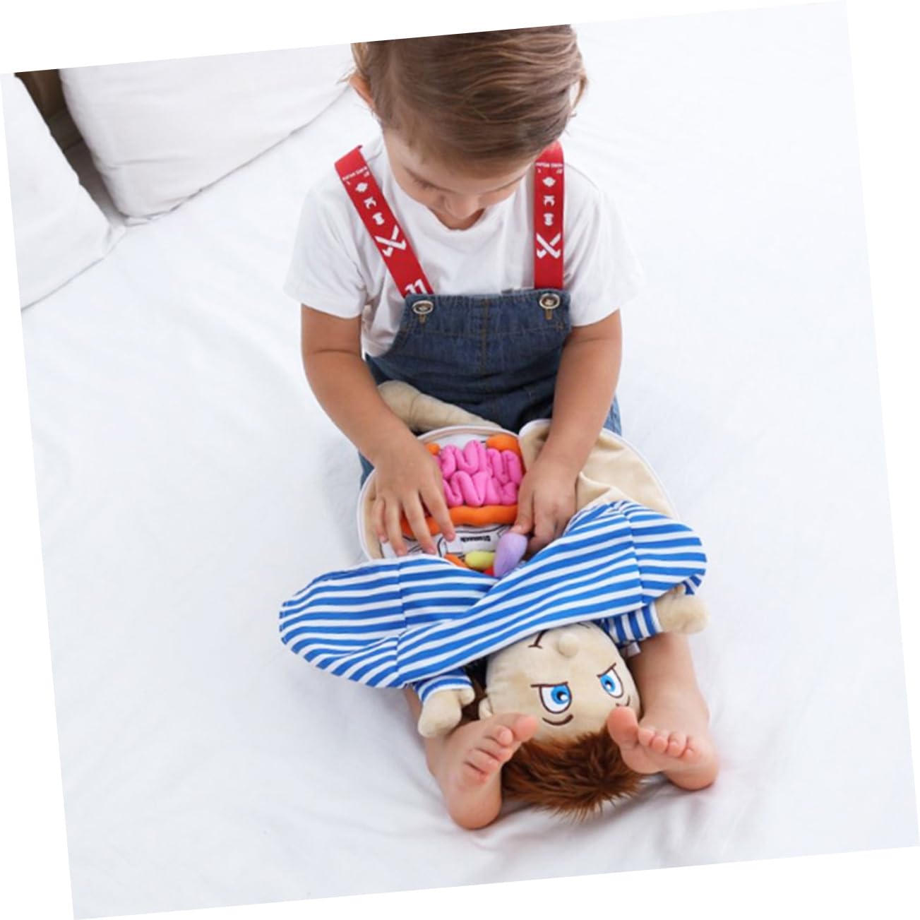 Giocattolo Educativo Organi Umani in Poliestere per Bambini