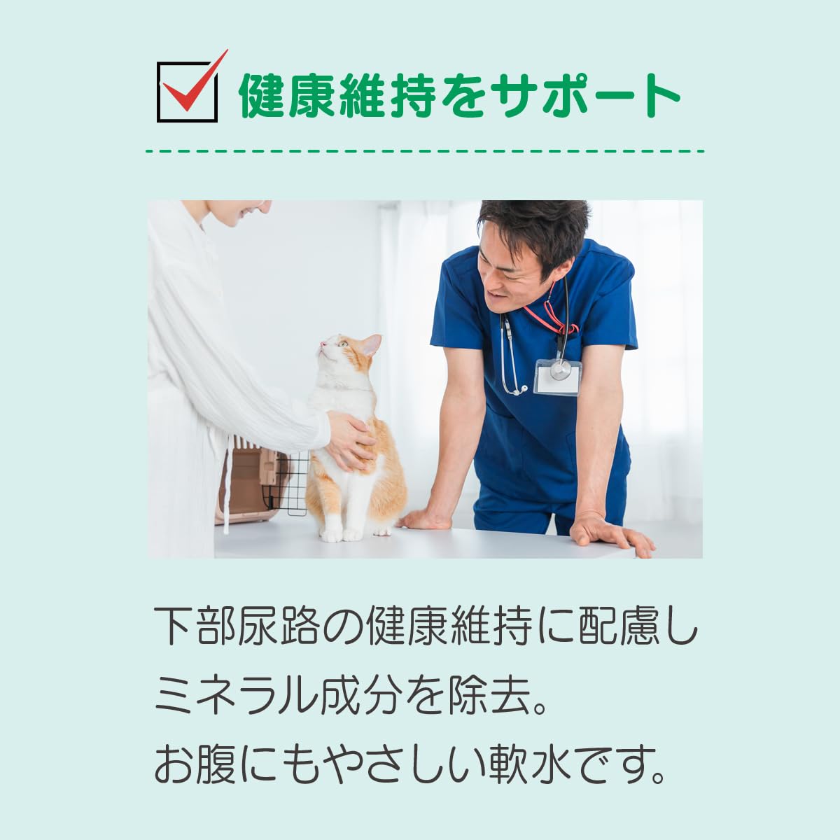 Amazon.co.jp: 『純水+水素』ペットウォーター ペット用水素水 人間