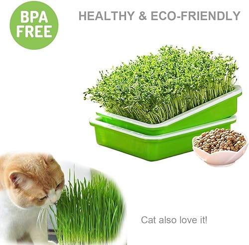 Miniatura 4 de Paquete de 3 bandejas de germinación de semillas sin BPA, PP sin tierra, gran capacidad, kit de contenedor de germinación de hierba de trigo