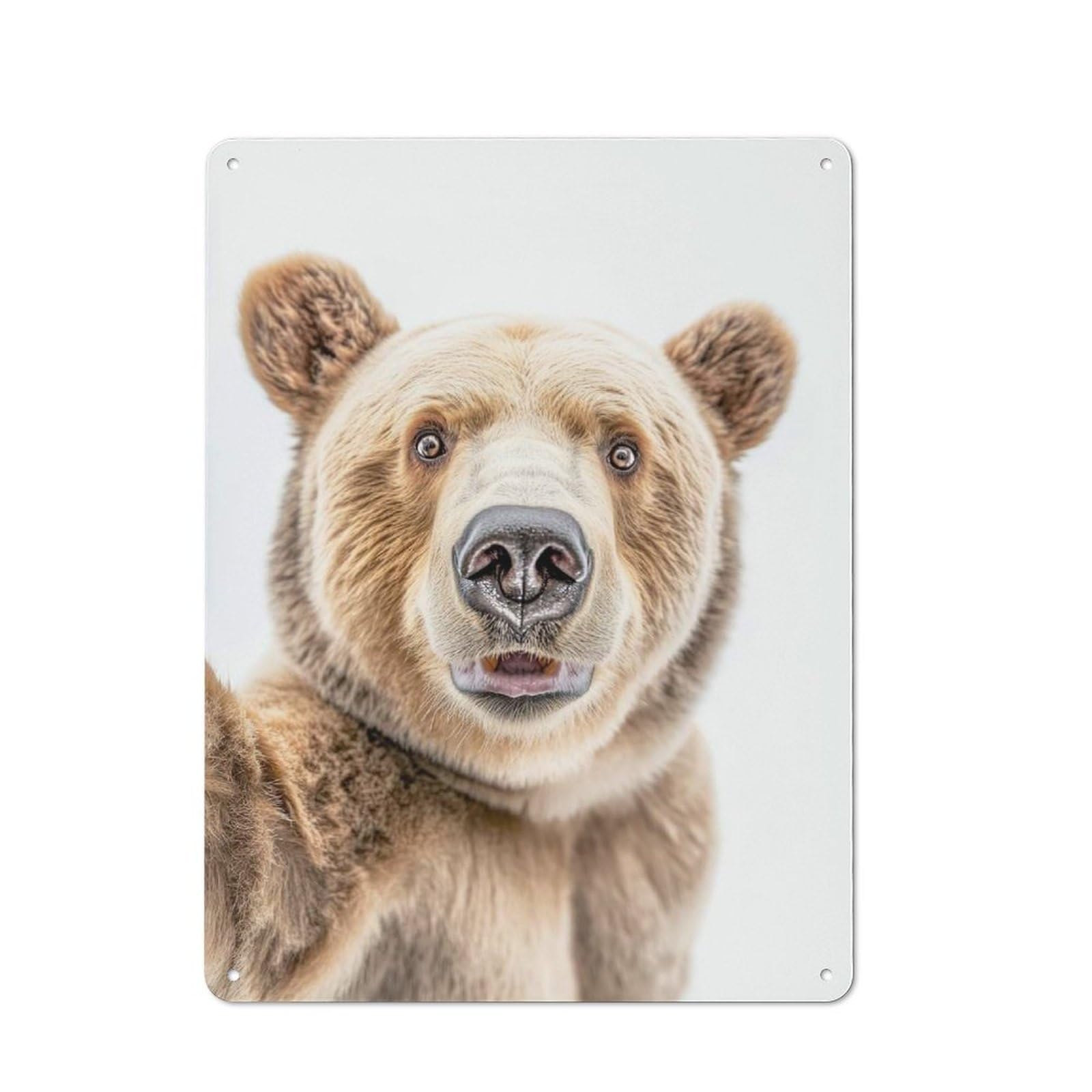Junmoney A Bear Taking A Selfie Retro Tin Sign 40X30cm For Pub Or Café, For Collectors Building A Themed Wall Display
