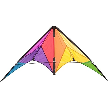 HQ Kites Calypso II Quad-Line Stunt Kite for Beginners (43 Inch)
