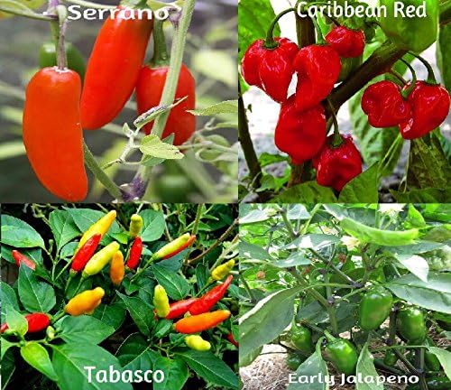 Hot Pepper Seed Mix 40 Seeds