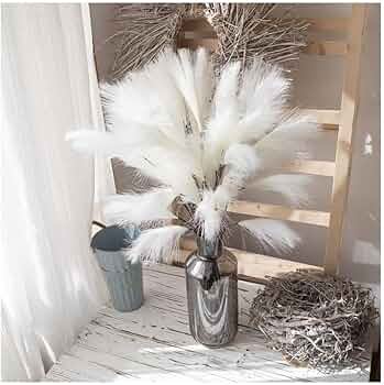 611DzY3TXfL._AC_UF350,