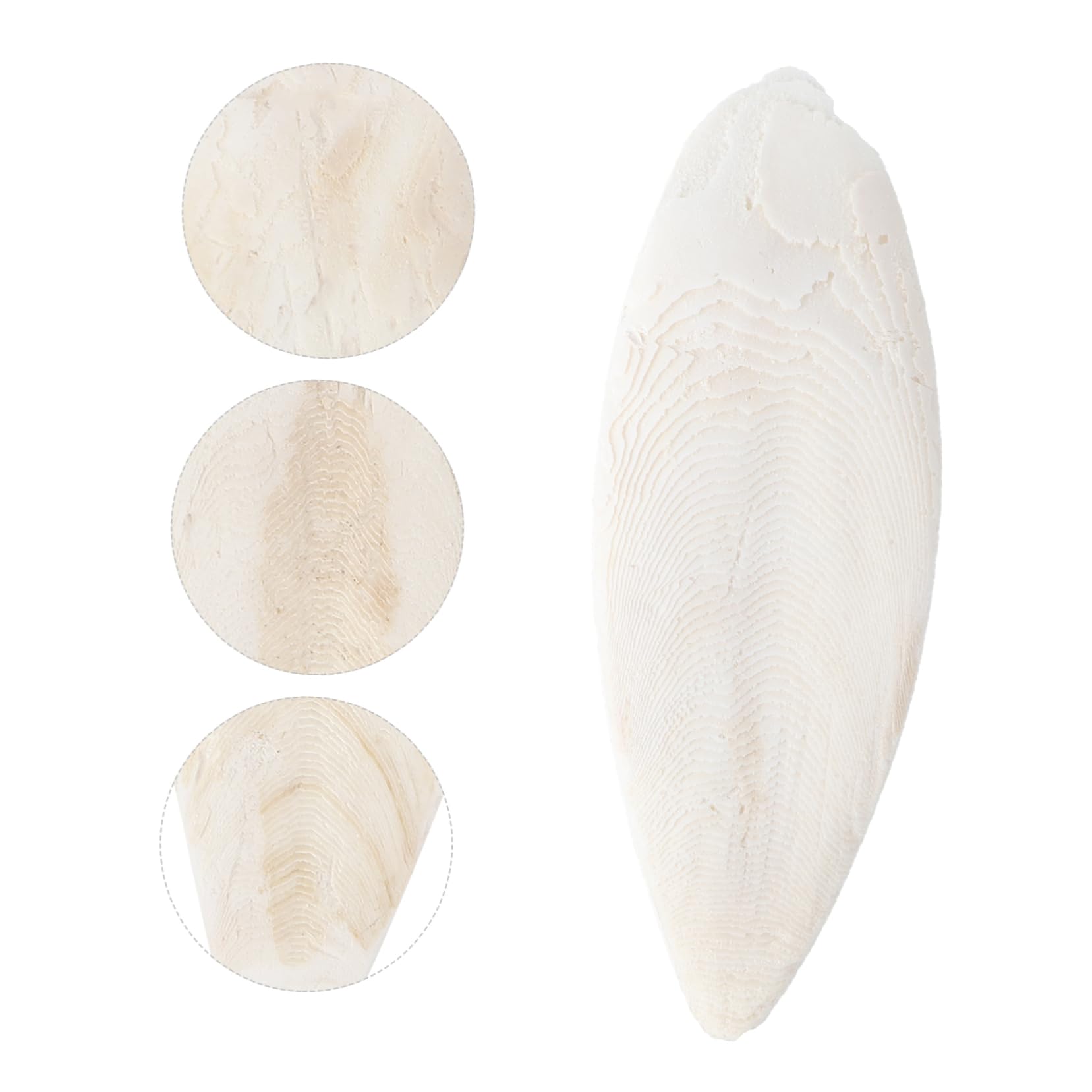 POPETPOP 24stücke Cuttlebone Kauspielzeug Für Haustiere Zahnpflege Und Training Für Hunde Katzen Papageien Und Andere Kleintiere Sicheres Und Natürliches Material