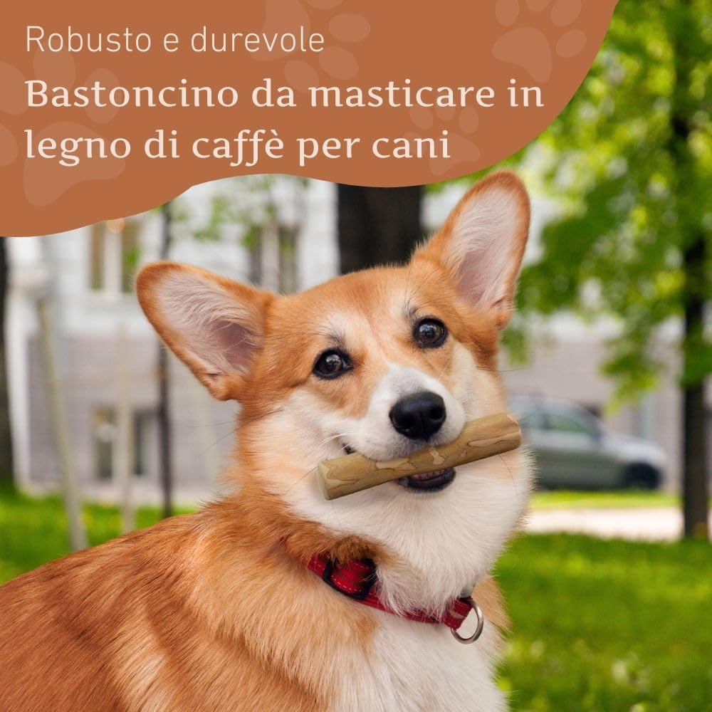 Wildfang Legno di Caffè Bastoncino Masticativo per Cani Piccoli (10-15 kg) - Gioco Dentizione Cuccioli
