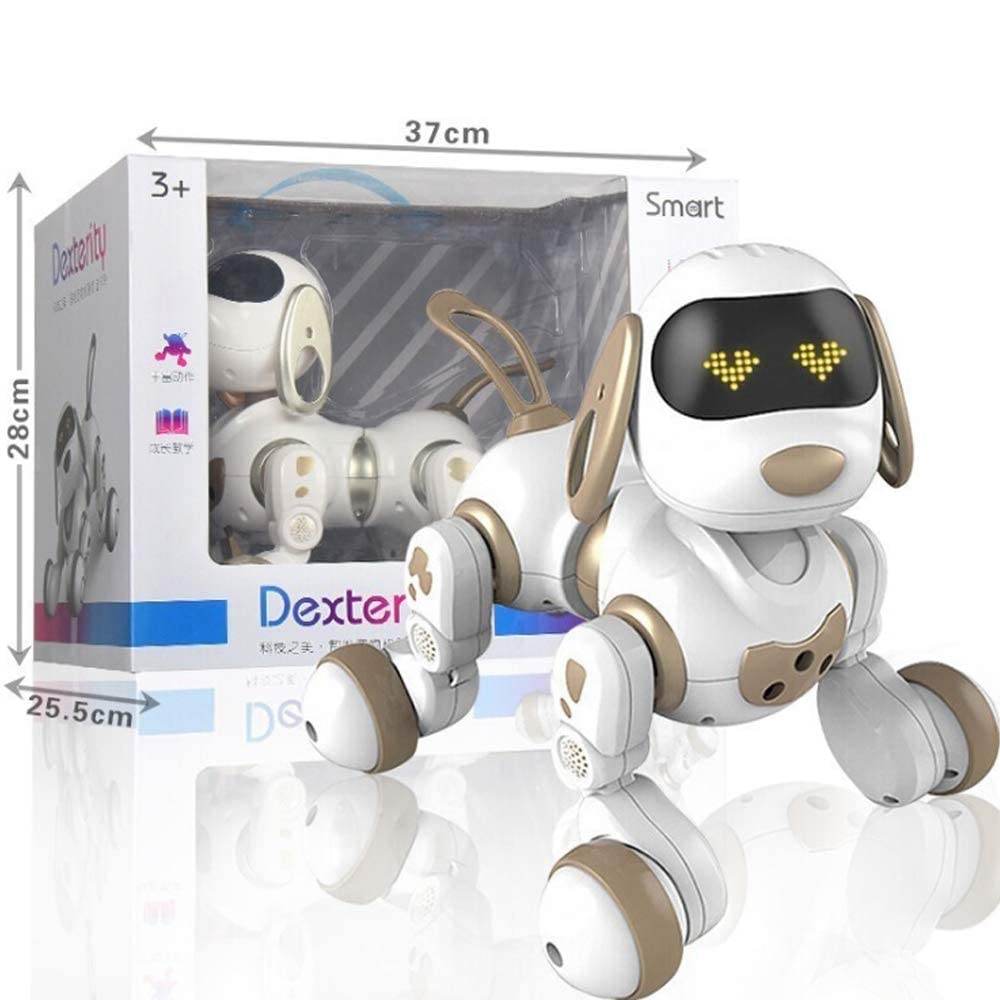 dexter the robot dog