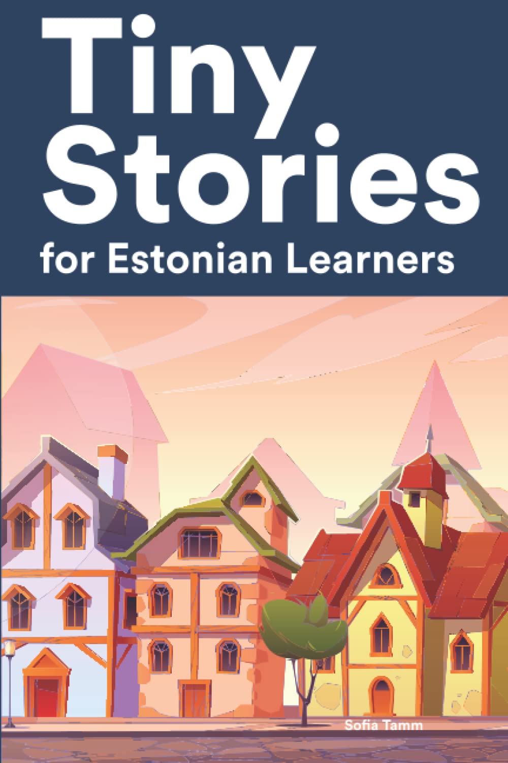 Tiny Stories for Estonian Learners: Short Stories in Estonian for Beginners and Intermediate Learners