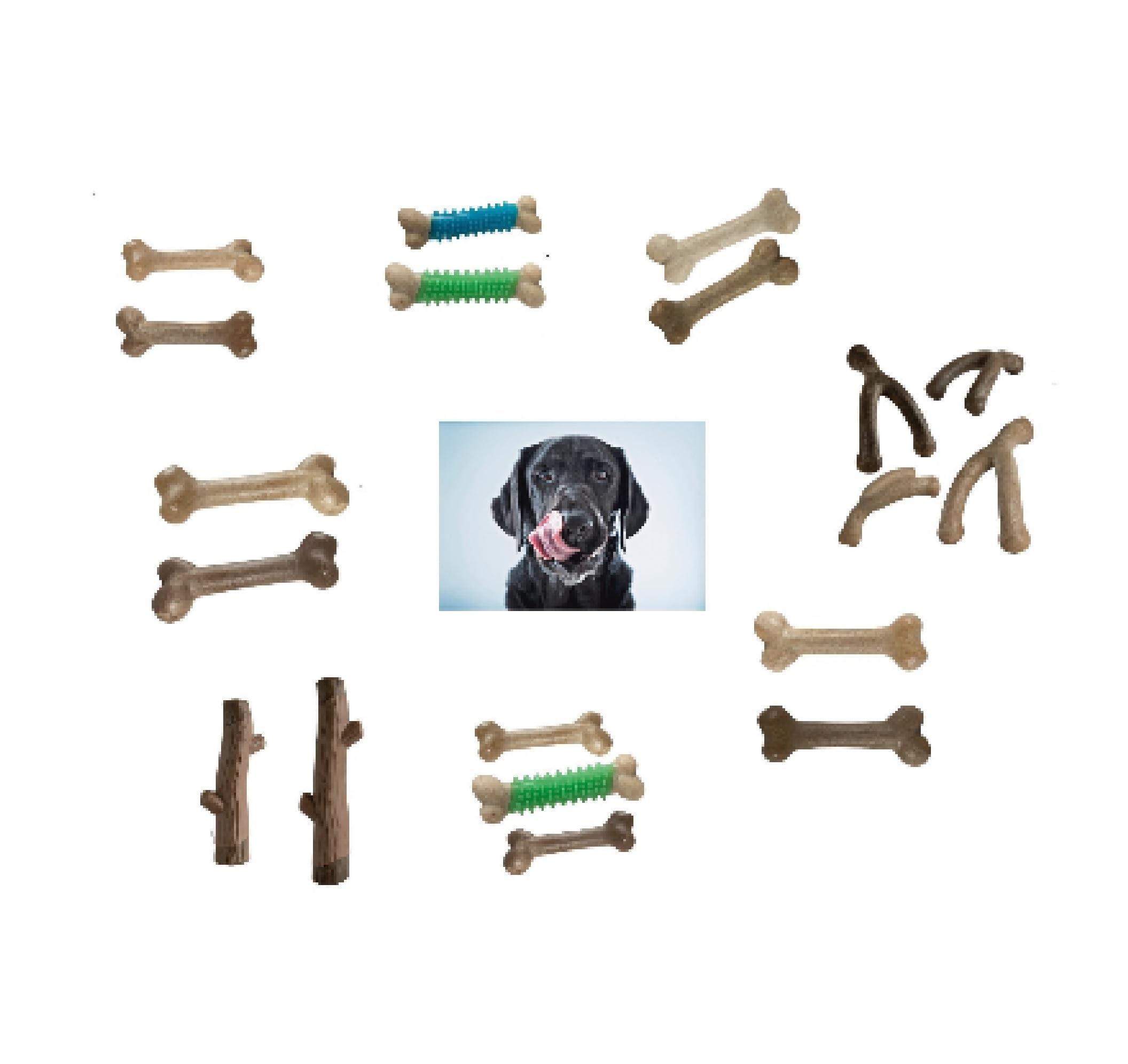 Paw-Some Dog Dental Chew Toys Huge Selection of Sizes Shapes and Infused Flavors Full Set - All 19