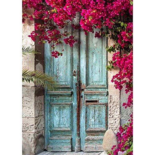 Greatmin Kit de peinture diamant pour adultes avec perles et pierres de pluie colorées Motif fleurs rouges à la porte 11,8 x 40,9 cm Cover