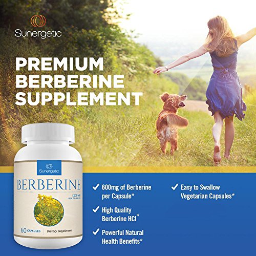 image for Sunergetic Premium Berberine Supplement - 1200mg of Berberine Per Serv