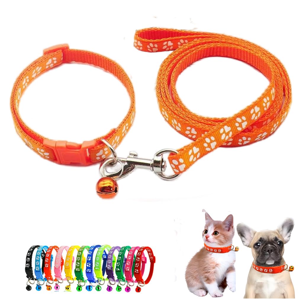 Laisse et collier cloche petits chiens nylon réfléchissant orange taille XXS XS