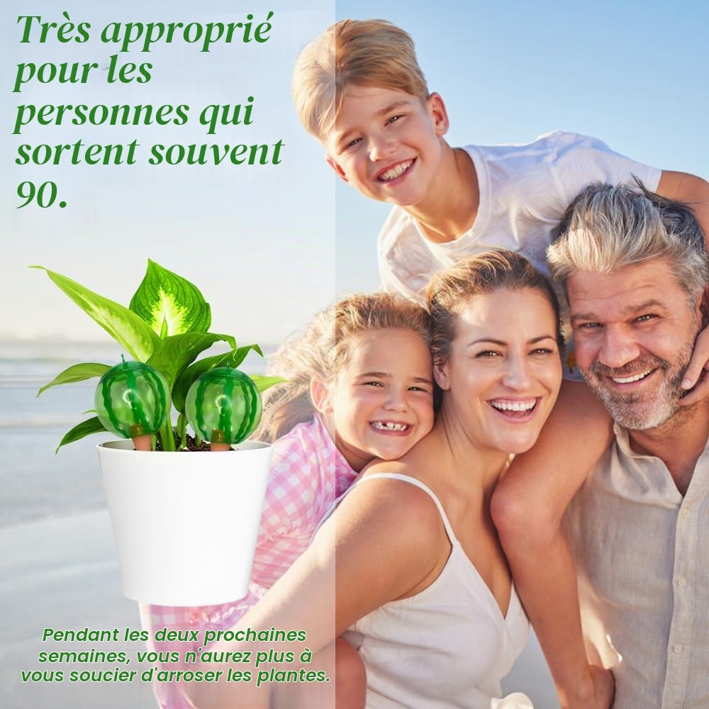 4 Pièce Arroseur Plante intérieur, Arroseur Automatique Plante intérieur | A Forma di Anguria, per lirrigazione Delle piante adatta a vari vasi (1 Pièce/500 ML)