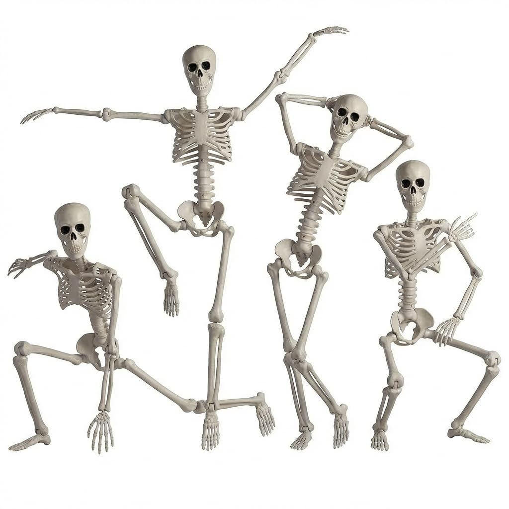 BEABOO 4Pack 36 Inches Pose-N-Stay Halloween Skeleton Life Size Full Body Posable Movable Jonints for Halloween Decoration Decor