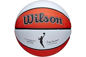 Best All-Court Champion: WILSON WNBA Authentic Series Outdoor Basketball