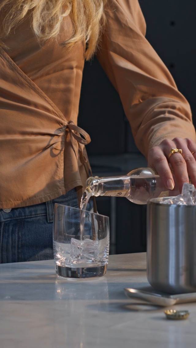 Amazon.com: Eva Solo Liquid Lounge Insulated Ice Bucket with Scoop