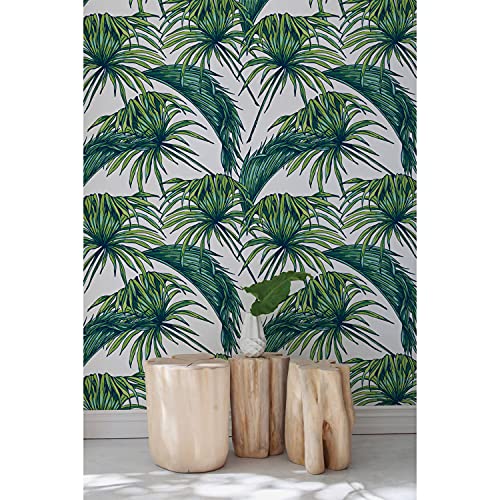 Papier peint tropical muralo pour meuble de chambre et décoration murale salon 104x70
