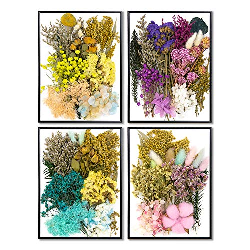image for Vignee Real Dried Pressed Leaf Flowers-Multiple Colorful Pressed Flowe