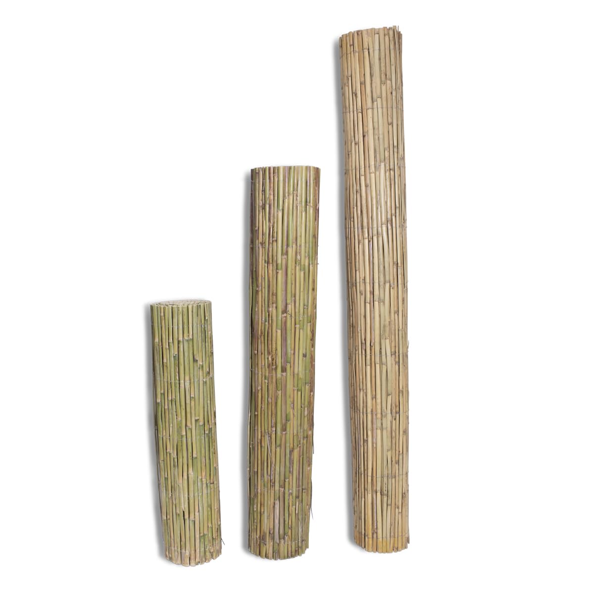 Valla natural de cañas Alpe 2 x 5 m, cañas enteras para vallado y decoración, protección visual y de privacidad para balcón, patio y jardín