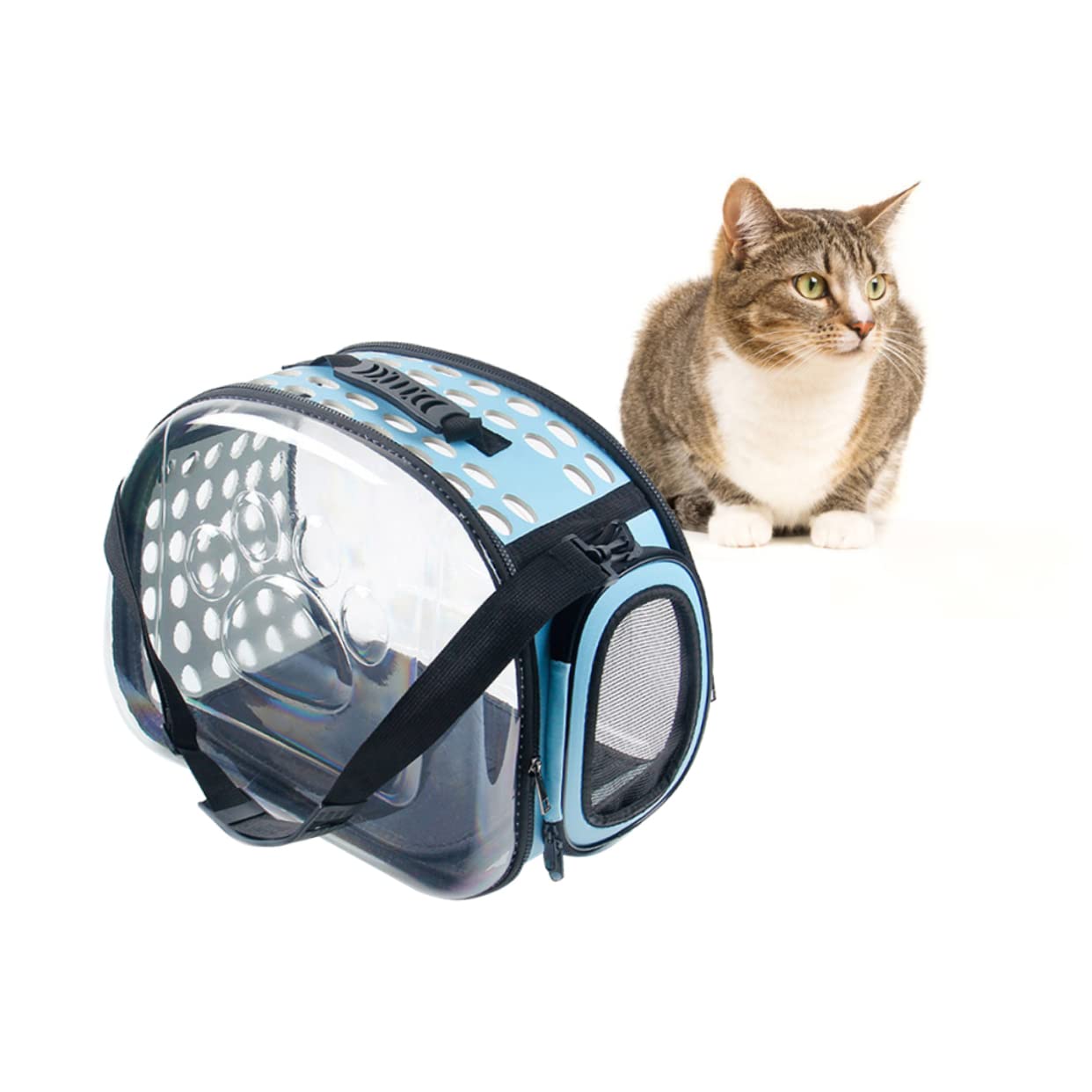 Pet Carrier Backpack Trasparente in Eva Blu per Viaggi | Strap Regolabili Fibbia, Design Zaino, per Escursioni e Campeggio, Struttura Stabile