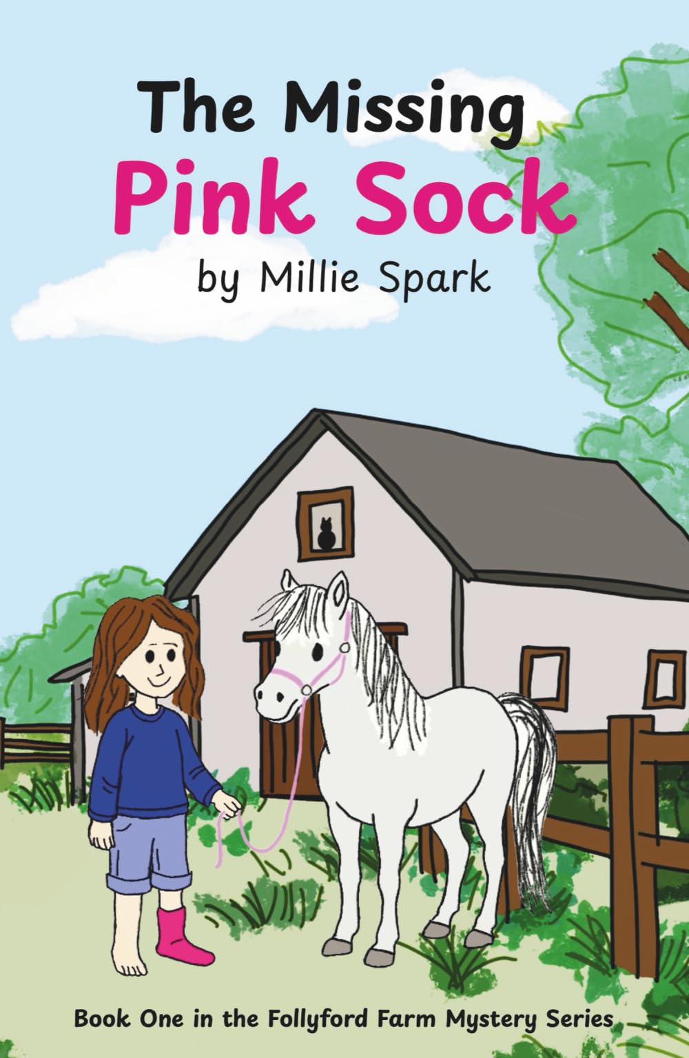 The Missing Pink Sock (The Follyford Farm Mystery Series)