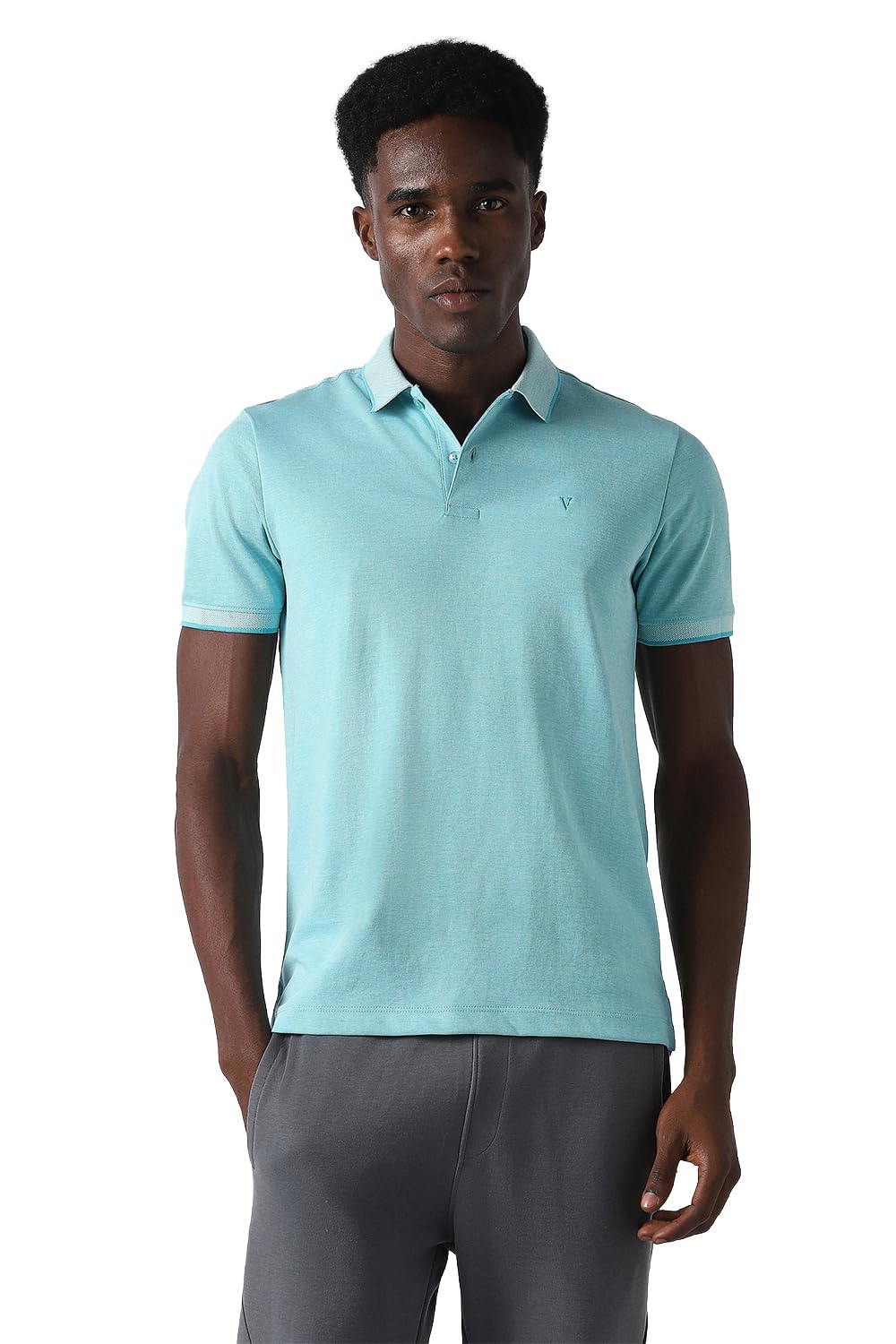 Van Heusen Men's Polycotton Regular Fit Polo T-Shirt Strechable Polo Tshirt with Tipping - Review, Price and Buying Guide