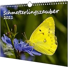 Suchergebnis Auf Amazon De Fur Schmetterling Kalender Bucher