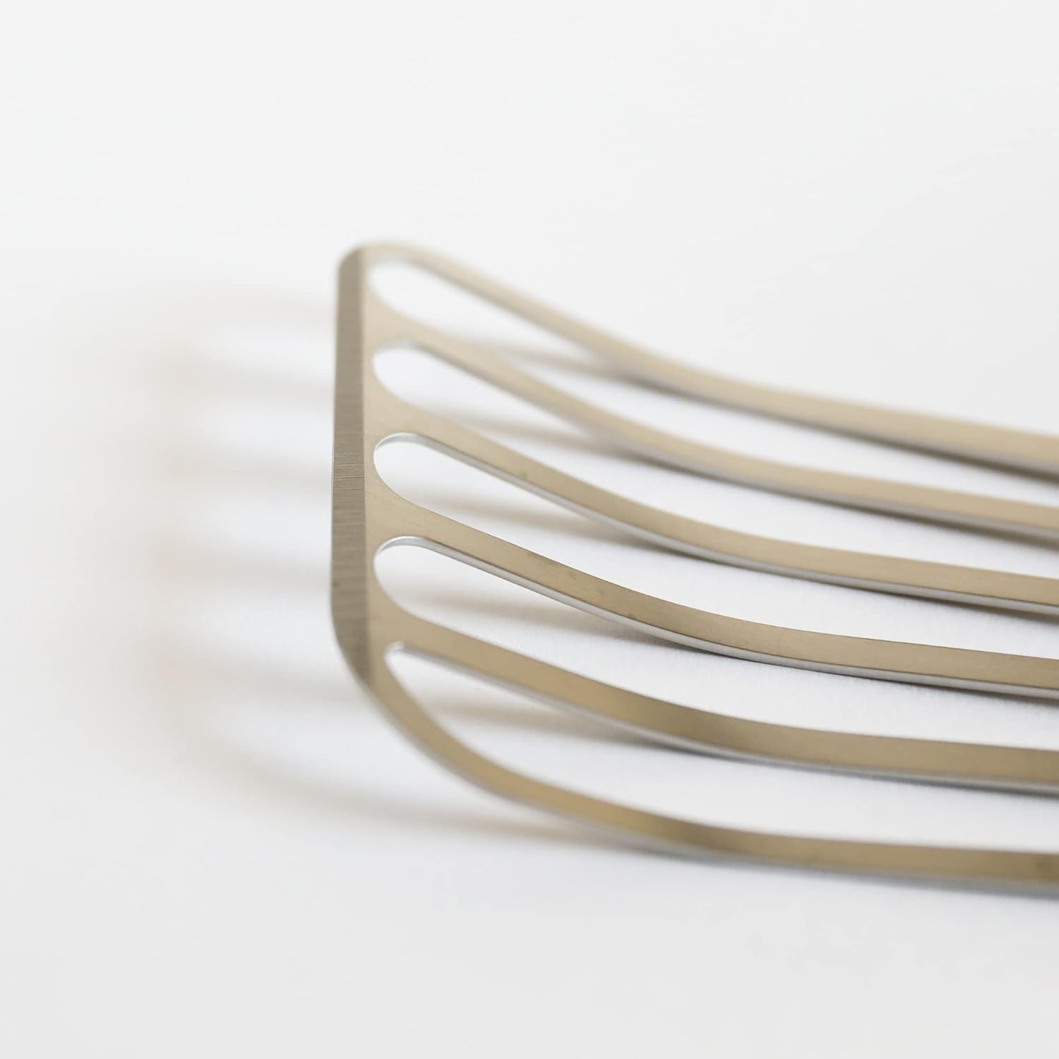 パキポディウム グラキリス ☆親子セット☆ 子グラキリス3株付き