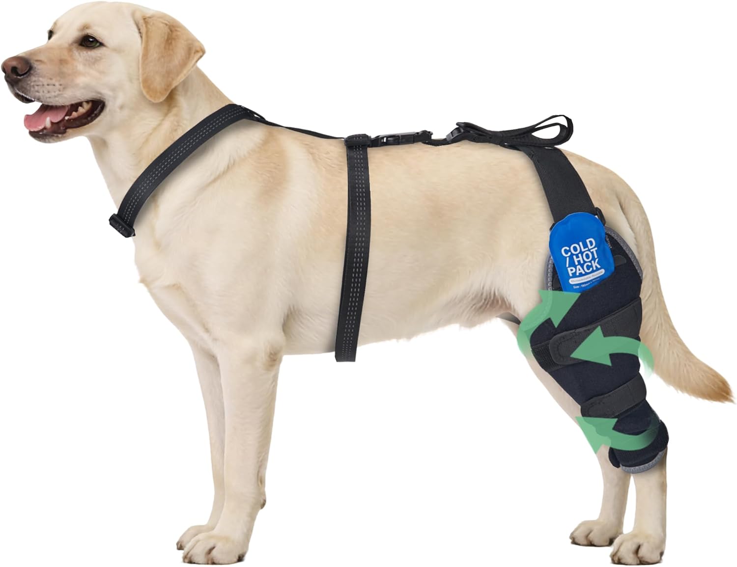 Dog Knee Braces for Back Leg, Dual-Use for Hot/Cold Compress Relieves Acute Joint Pain and ACL Injuries, Includes Removable Gel Ice Pack Suitable for Medium to Large Dogs, Left Leg L