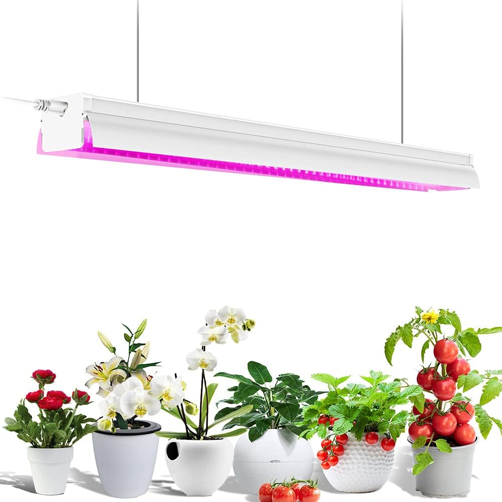 grow lights and supplies